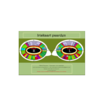 Online cursus iriscopie voor paarden, thema spijsverteringsproces