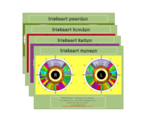 Irisdiagnostik Tabelle Komplett-Set